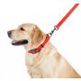 Collar Waterproof Smycz wodoodporna M 20mm/183cm czerwona - 3
