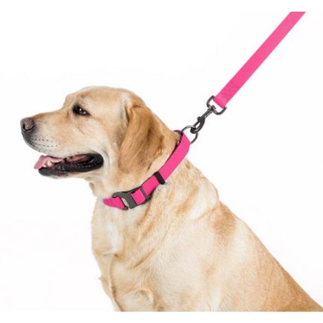 Collar Waterproof Smycz wodoodporna S 15mm/183cm różowa - 3