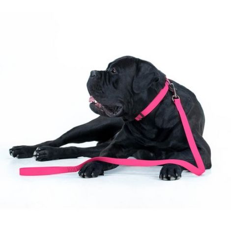 Collar Waterproof Smycz wodoodporna S 15mm/183cm różowa - 4