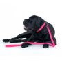 Collar Waterproof Smycz wodoodporna S 15mm/183cm różowa - 4