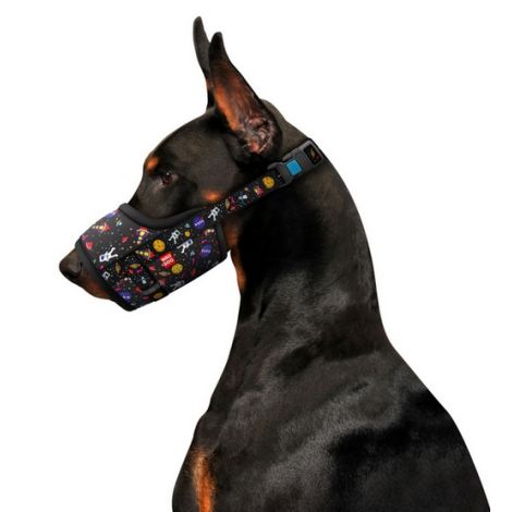 Collar WauDog Nylon Kaganiec, plastikowy fastex, wzór NASA, rozmiar 1 [14-20cm] - 3